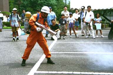 �C���p���X�e���������������q�~���̑�������