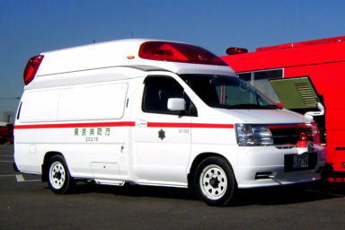 ���Y�|�p�����f�B�b�N�i�V�^�j