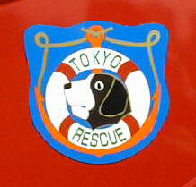 �����q�v�̃}�[�N